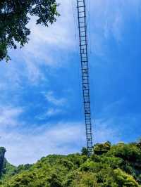 一山一藥王，一景一傳奇——藥王山深度體驗