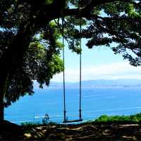 福岡能古島：四季花海×絕景離島秘境