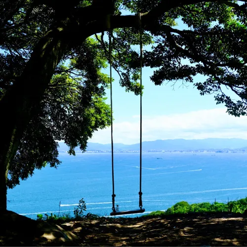 福岡能古島:四季の花畑×絶景離島の秘境