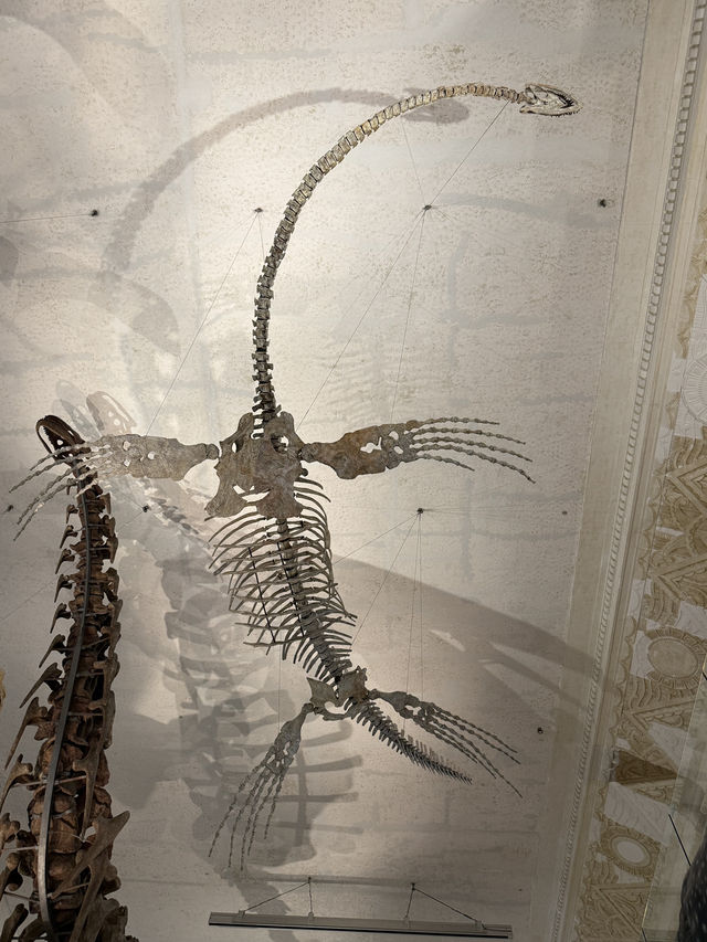 Roar-some Dinosaur Exhibits At The Natural History Museum Of Taiwan 