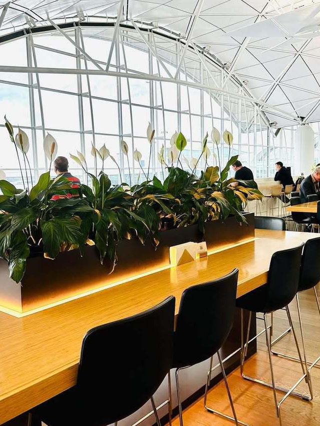 國泰航空香港機場頭等艙貴賓室大揭秘✨