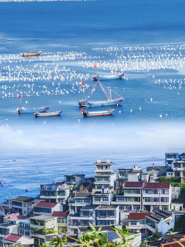 朋友都以為我出國了這是舟山嵊泗島