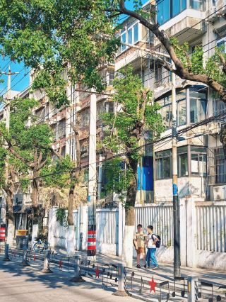 Hefei Hongxing Road Citywalk | The Charm and Romance of an Artistic Old Street