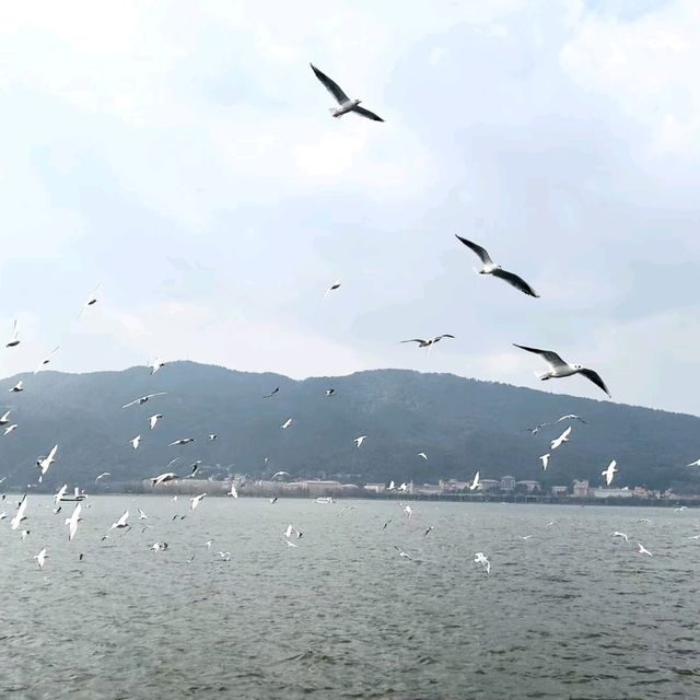 🌟麗江古韻與自然秘境之旅🌟