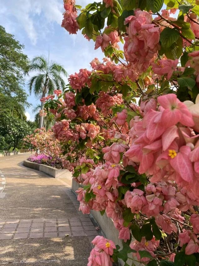 曼谷班嘉琦緹皇后公園交通攻略｜鬧市中的綠意秘境指南