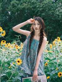 救命！在深圳撞進了向日葵的盛夏時光🌻每一幀都像被陽光吻過的浪漫畫報！