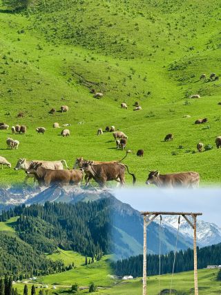 Day 1 in Xinjiang: Lost in a Living Oil Painting!