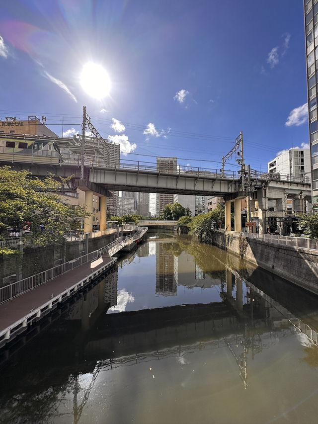 Budget The Big City, Top Tokyo Tips! Not As Expensive As You Think 💰 🤩 