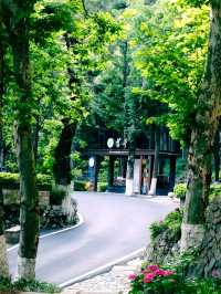 莫干山必住神仙酒店 藏喺民國別墅嘅治癒之旅