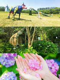 夏日嘅揚州，呢片松林同花海真係令人驚艷