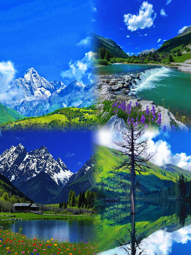 帶你去飛四姑娘山