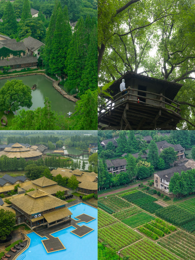 去過先知道烏鎮嘅悠閒感嚟自隔籬嘅烏村