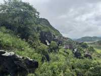 Jade stone forest 