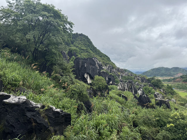 Jade stone forest 