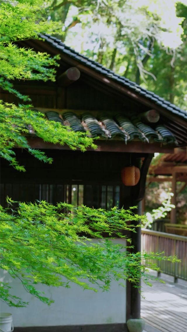 在安吉靈峰山，邂逅一場詩意禪境