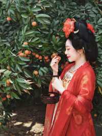 夏天到廣西遊“荔”山海，穿越回大唐，體驗貴妃食荔枝的樂趣！