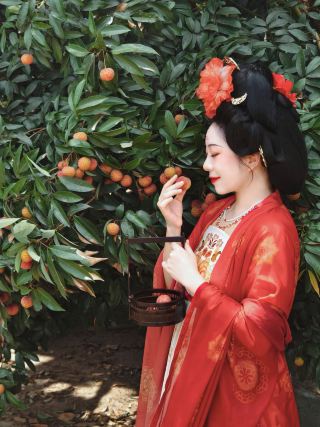 Travel to Guangxi in summer to enjoy the "lychee" mountains and seas, travel back to the Tang Dynasty, and experience the joy of the imperial consort eating lychees!