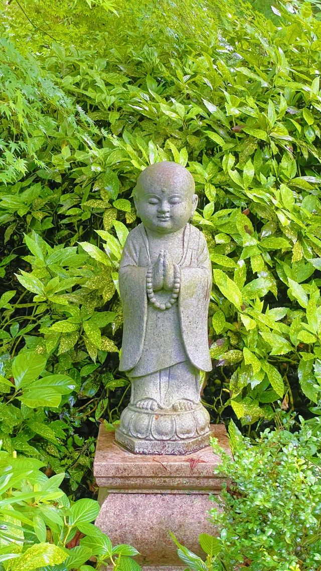 《永福禪寺嘅禪意生活體驗如何？》