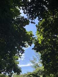 重慶小瑞士 中梁山礦坑公園美到失語