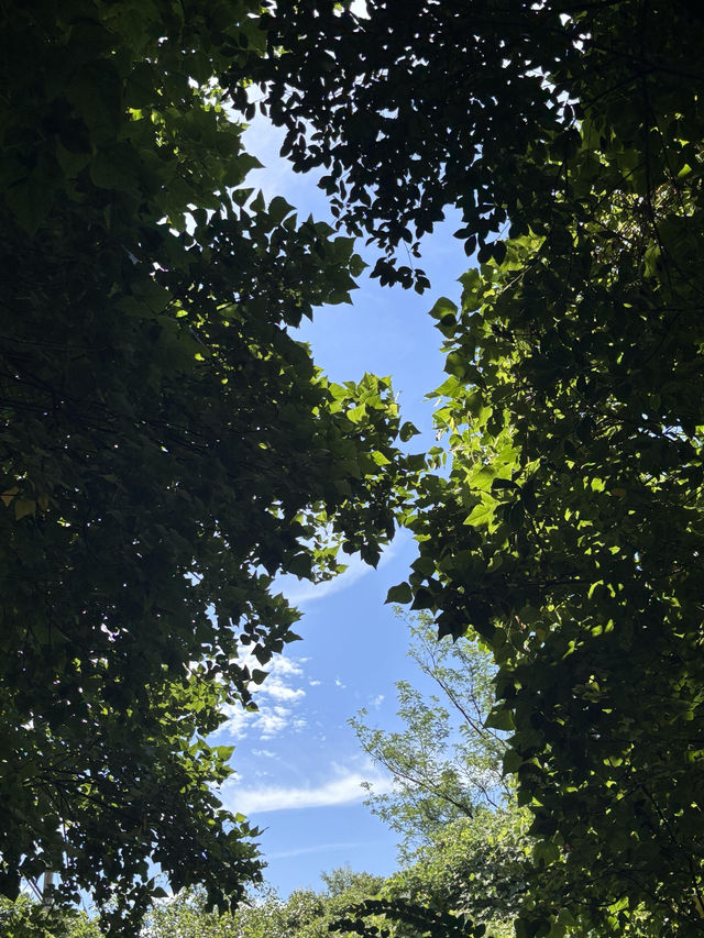 重慶小瑞士 中梁山礦坑公園美到失語
