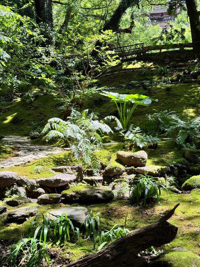 篁嶺——梯田載春秋，古村曬煙火
