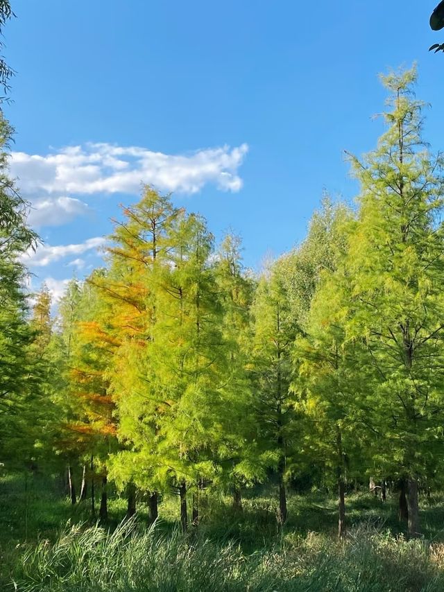 大理洱海公園