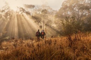 Canberra's Hidden Gem - The Ultimate Guide to Tidbinbilla Nature Reserve