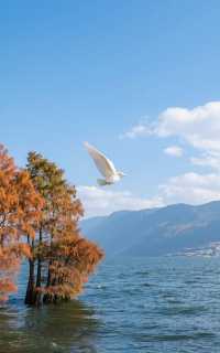7-9月親子避暑：4個高鐵直達地，帶小朋友清涼過夏天