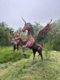 Nanyuan Forest Wetland Park in Beijing! 