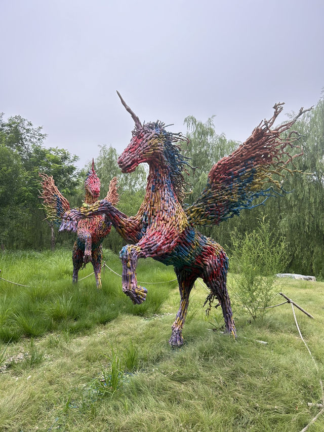 Nanyuan Forest Wetland Park in Beijing! 