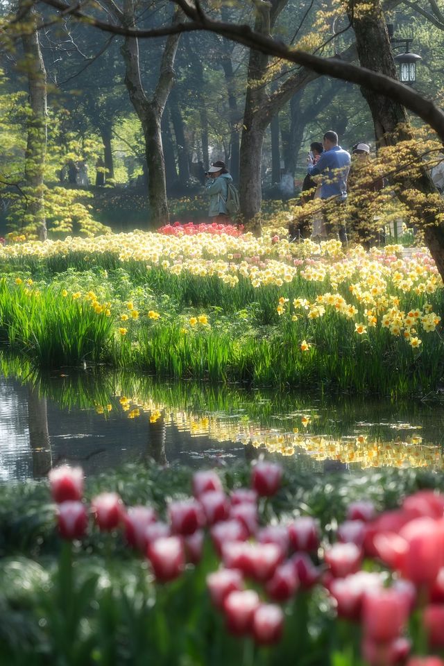 太子灣公園旅遊攻略
