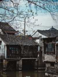 探索浙江最低調原生態古鎮！1700年路仲免費開放！