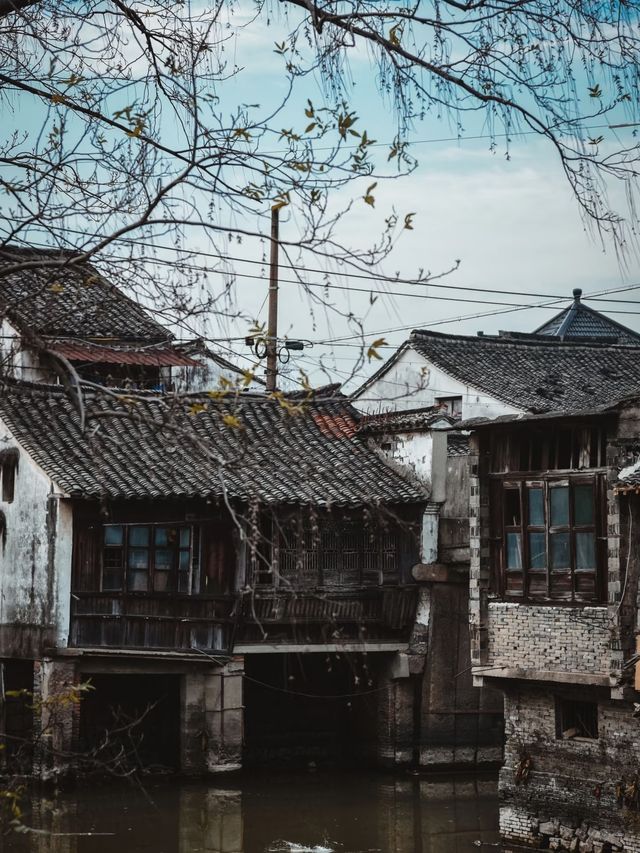 探索浙江最低調原生態古鎮！1700年路仲免費開放！
