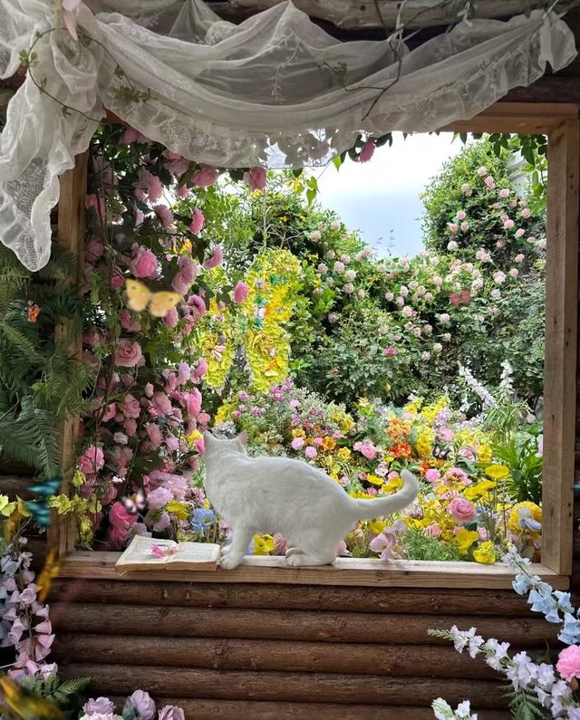 夏日系治癒花園！！