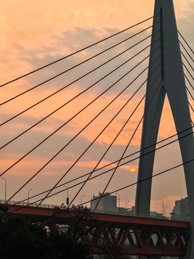 霧都魔幻8D城重慶夜景與小熊貓萌翻天   必去理由 8D魔幻夜景天堂山城魅力MAX！