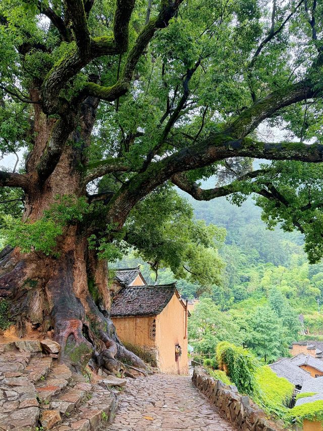 被《國家地理》點名！闖入600年明清古村落