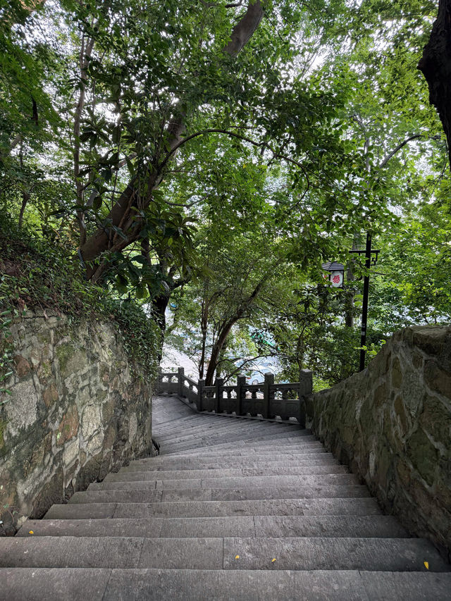 西湖夏日逛食全攻略｜唔睇後悔