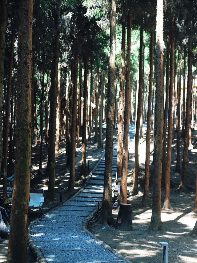 仙峰山絕美徒步路線