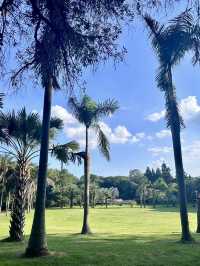 翠影繚繞・福州國家森林公園的森呼吸