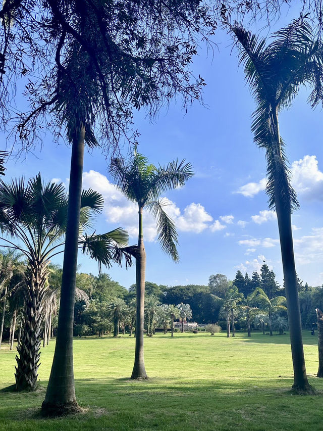 翠影繚繞・福州國家森林公園的森呼吸