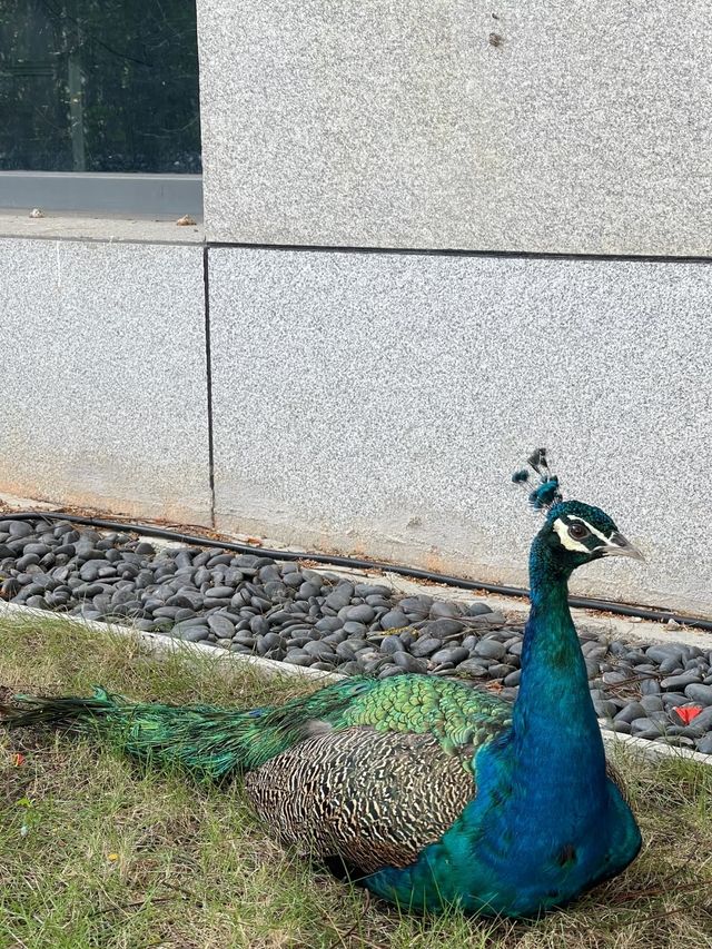 都市隱居迎賓時光