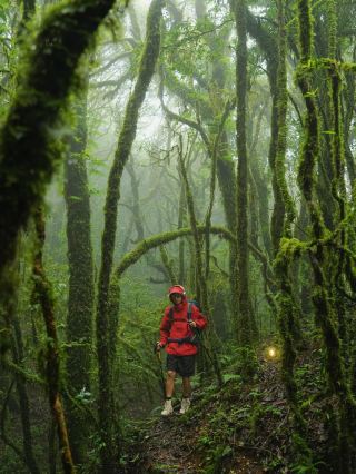 20℃ Summer! I found a breathing primeval forest in Yunnan