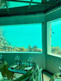 Exceptional Facilities and Service