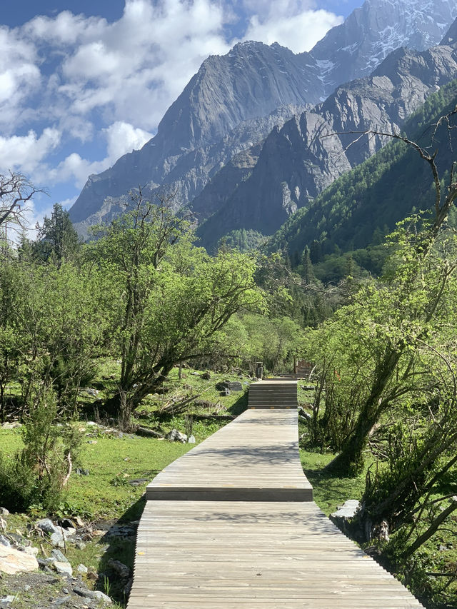 Siguniangshan - changpinggou In June