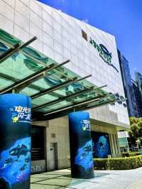 海底星辰，上海海洋水族館