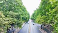 這些林蔭大道，藏着西安最動人的煙火與時光