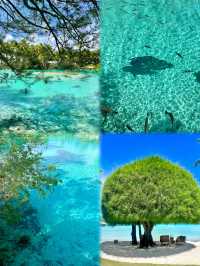 大溪地海島天花板！不輸馬爾代夫這份跳島清單請收好