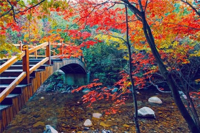 五女山秋：紅葉雲海，遼東秘境