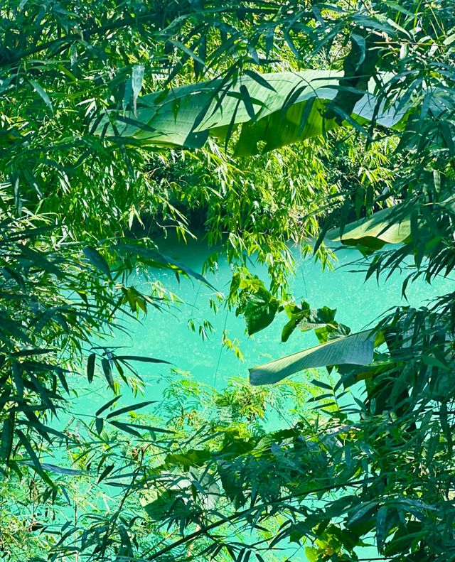 在桂林呆膩了我去貴州擠擠