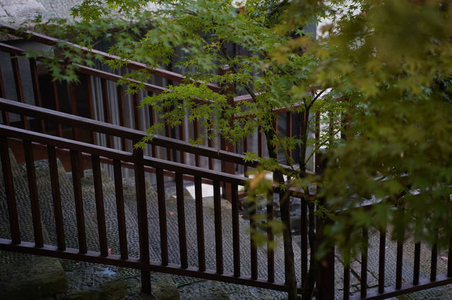 在千島湖燕山，收藏一份古園林的靜謐秋光